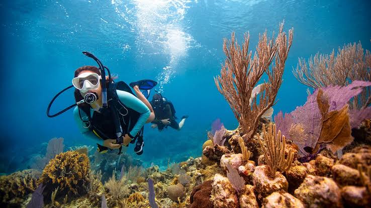 Langkawi Adventure Image 17